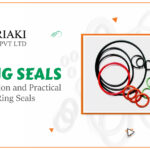 The Evolution and Practical Uses of O-Ring Seals